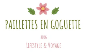 Paillette-en goguette-blog